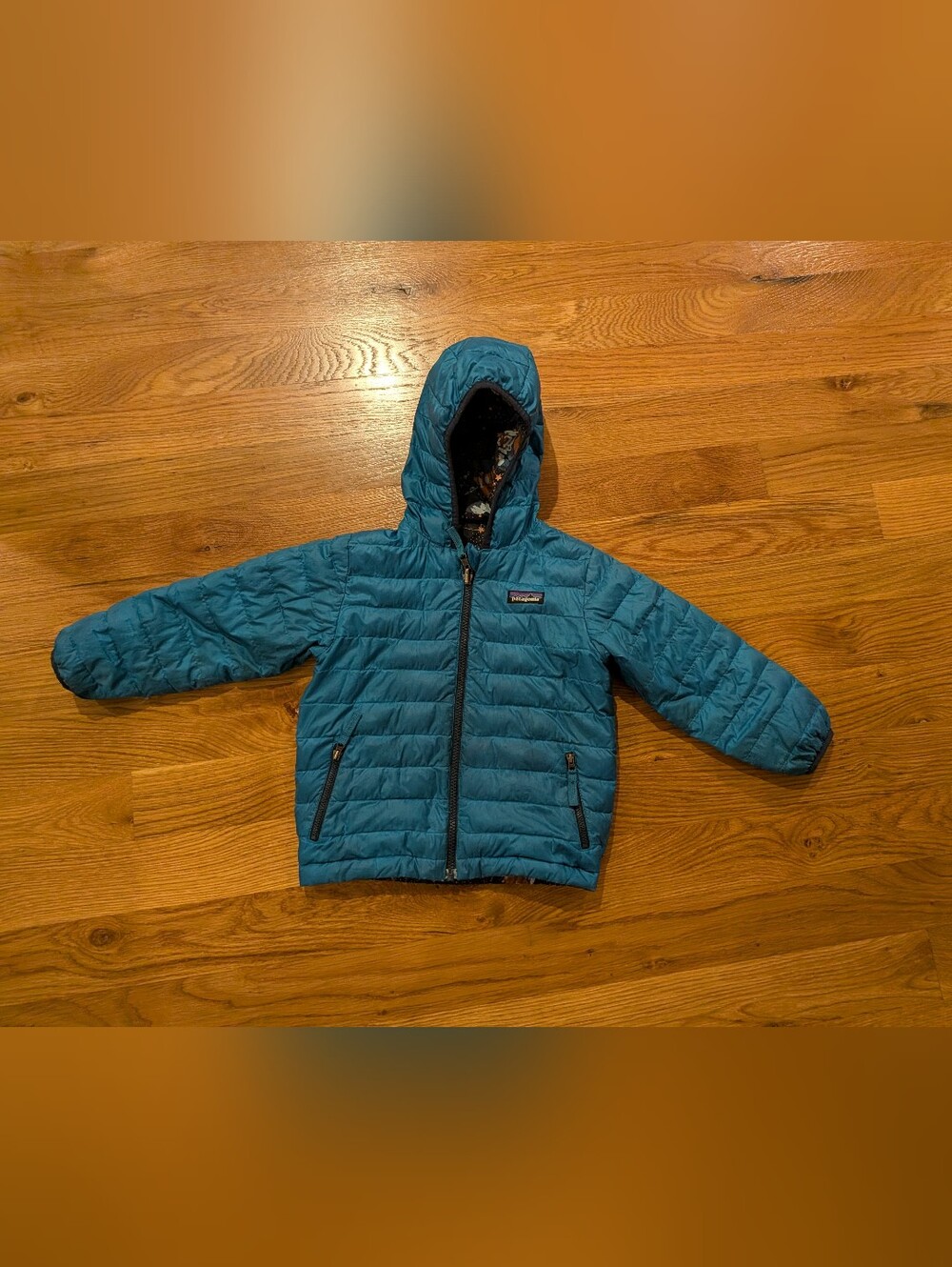 Patagonia Reversible Down Sweater Hoody 4T